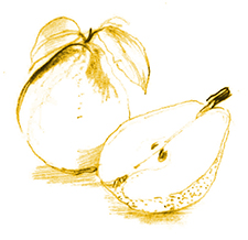 Poire