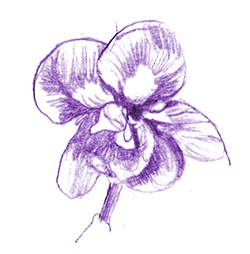 violetta medium - Copie.jpg