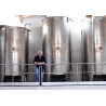Clos des Papes